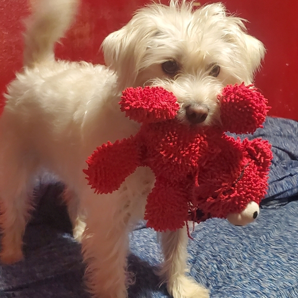 Angel - Picture 1 of 5